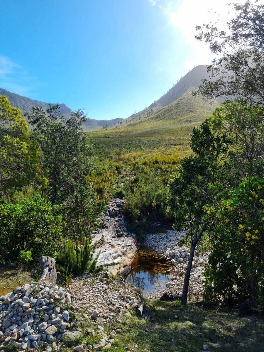 0 Bedroom Property for Sale in Joubertina Eastern Cape